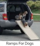ramps for dogs