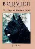 Bouvier Des Flandres
