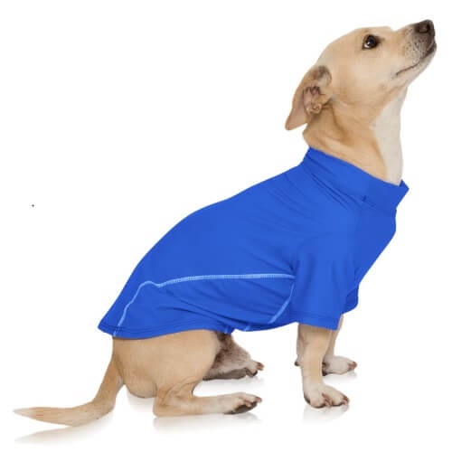 Pet Clothes For Protection When The Weather Outside is Frightful!