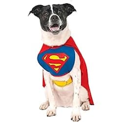superman dog costume