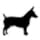 Teddy Roosevelt Terrier standing icon image Teddy Roosevelt Terrier standing icon image