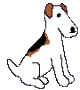 fox terrier illustration logo for twitter and moreo