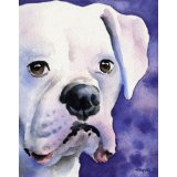 <i>Boxer Art Print - Link Below</i>