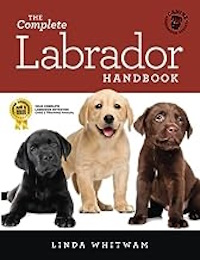 three Labrador puppies book cover