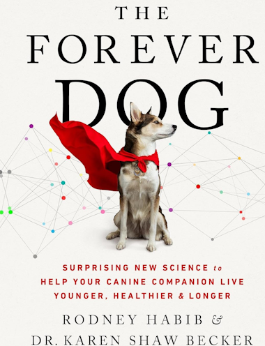 The Forever Dog Book