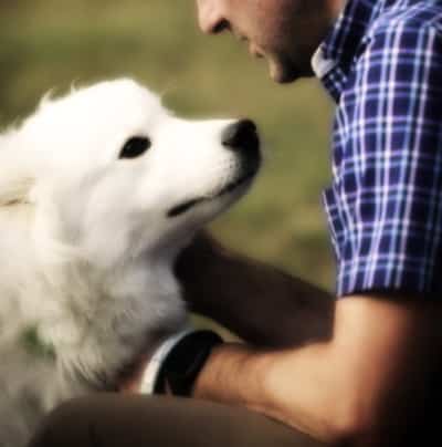 dog looking up at master