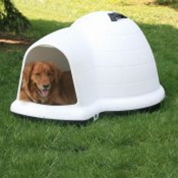 igloo dog house medium size